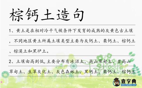 棕鈣土造句