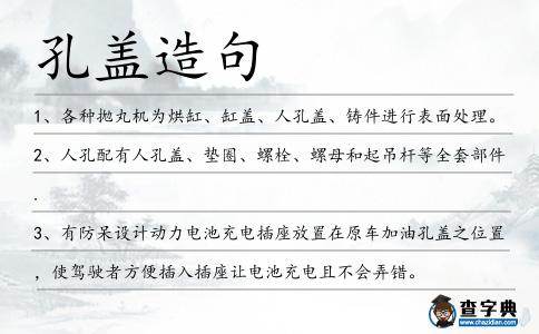 孔蓋造句