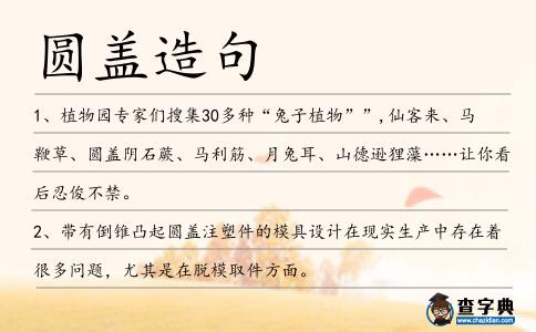 圓蓋造句