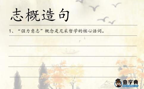 志概造句