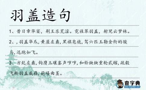 羽蓋造句