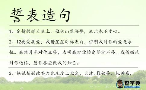 誓表造句