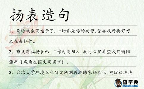 揚表造句