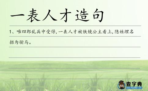 一表人才造句