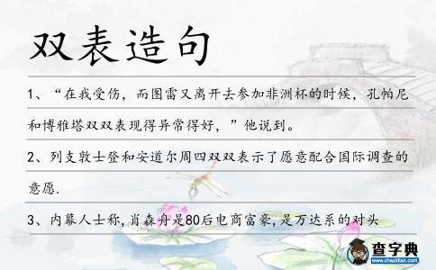 雙表造句