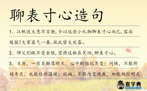 聊表寸心造句