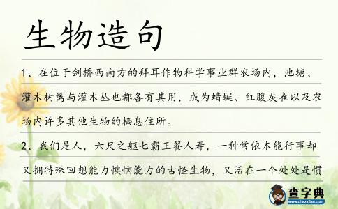 生物造句