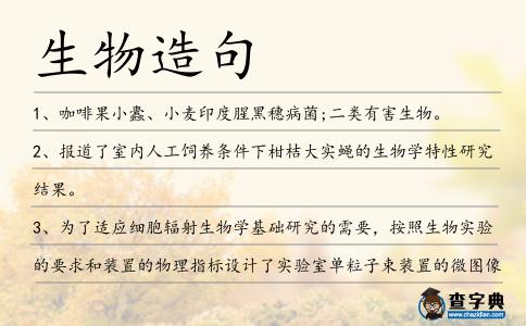 生物造句