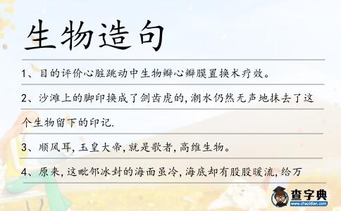 生物造句