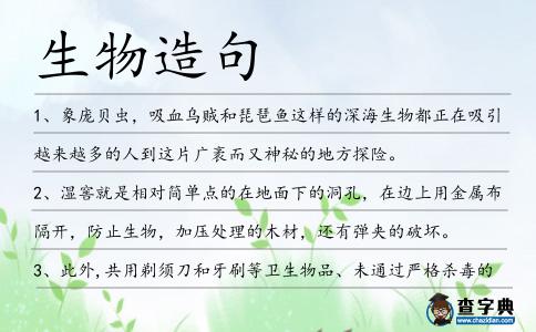 生物造句