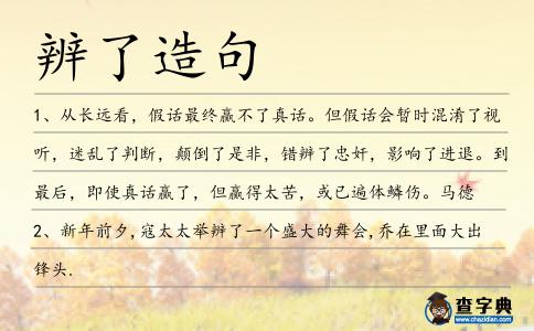辨了造句