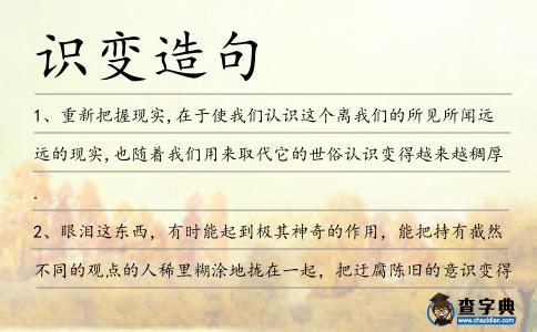 識變造句