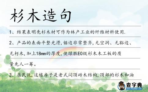 杉木造句