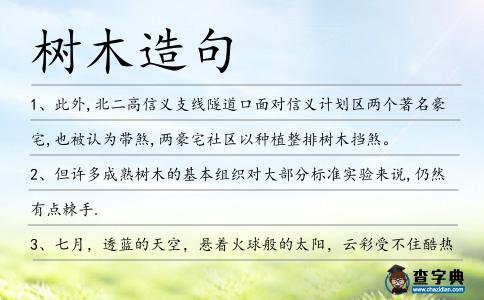 樹木造句