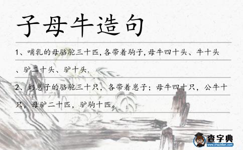 子母牛造句
