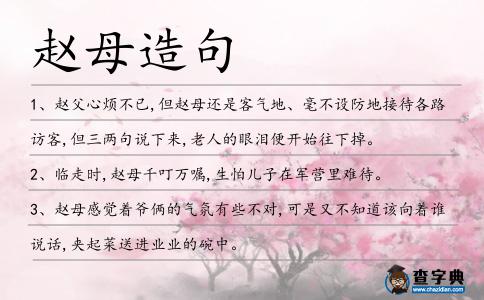 趙母造句