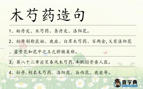 木芍藥造句