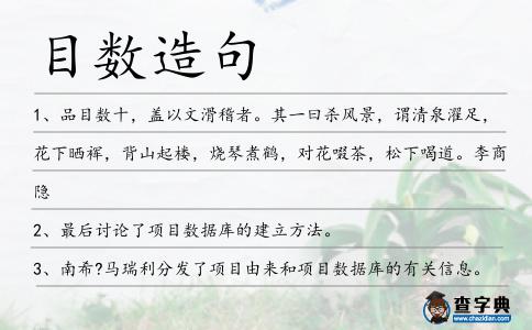 目數造句