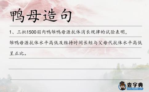 鴨母造句