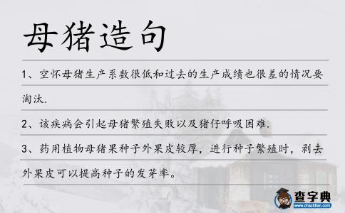 母豬造句