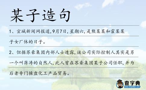某子造句