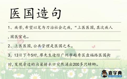 醫國造句