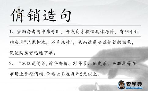 俏銷造句