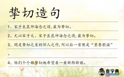 摯切造句