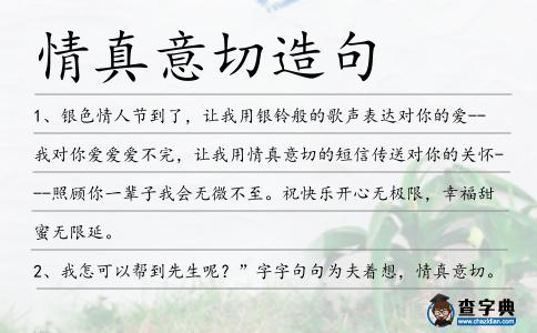 情真意切造句