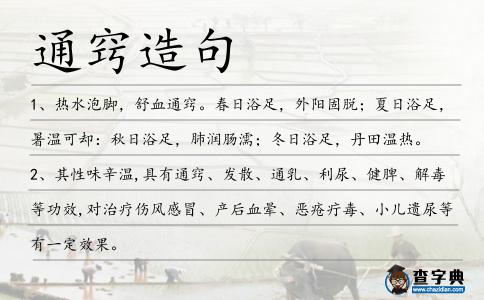 通竅造句