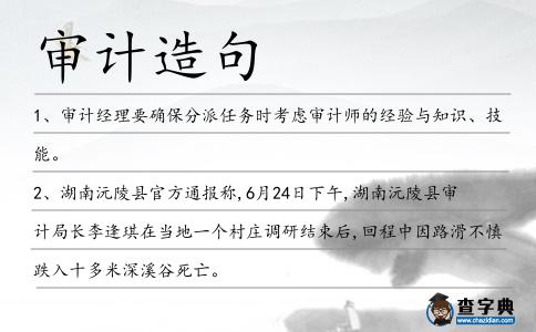 審計(jì)造句