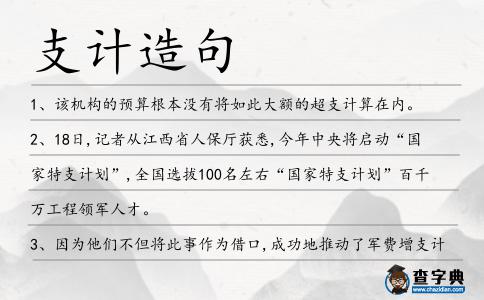支計造句