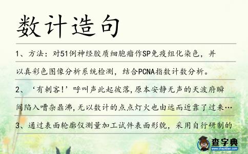 數(shù)計造句