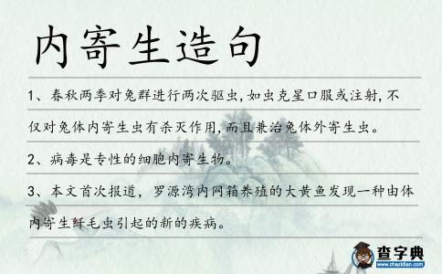內寄生造句