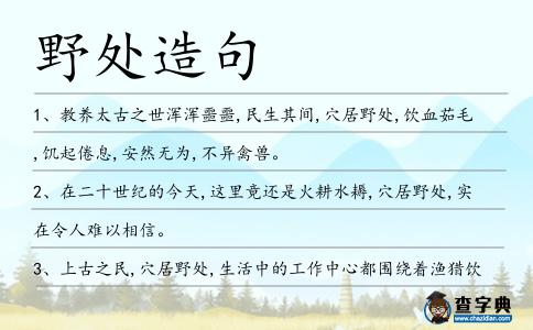 野處造句
