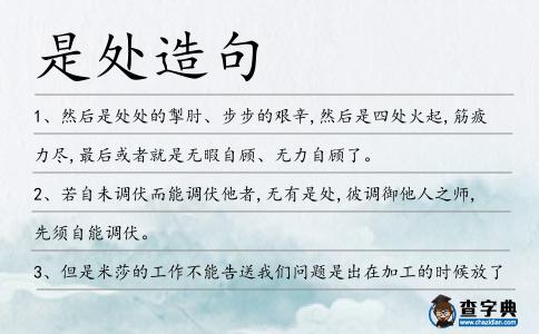 是處造句