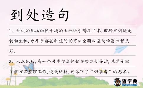 到處造句