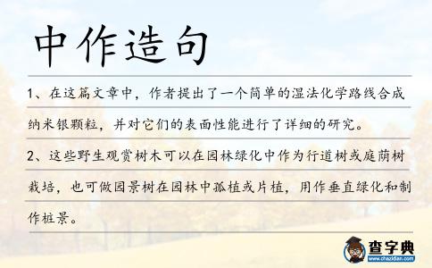 中作造句