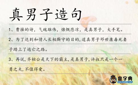 真男子造句