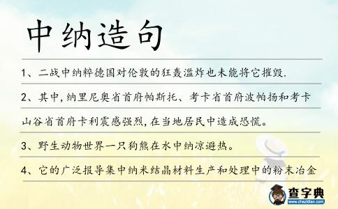 中納造句