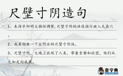 尺壁寸陰造句