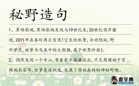 秘野造句