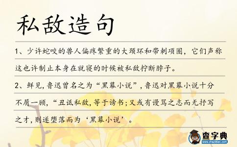 私敵造句