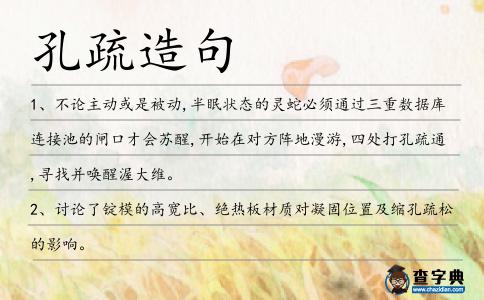 孔疏造句