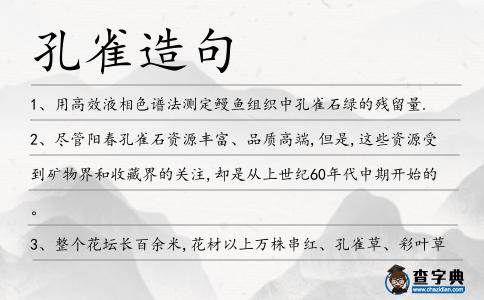 孔雀造句