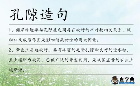 孔隙造句
