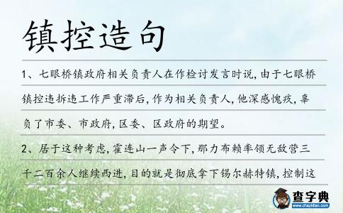 鎮(zhèn)控造句