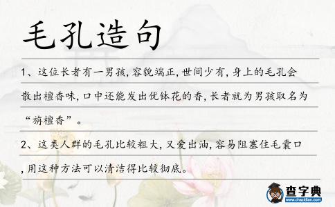 毛孔造句