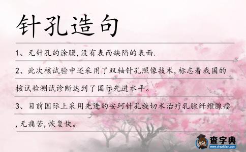 針孔造句