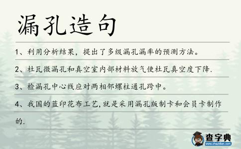 漏孔造句